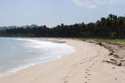 Playa Rincón Las Galeras Samaná